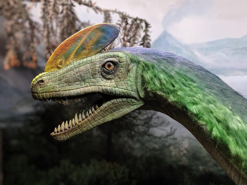 Jurassic Era Dinosaur